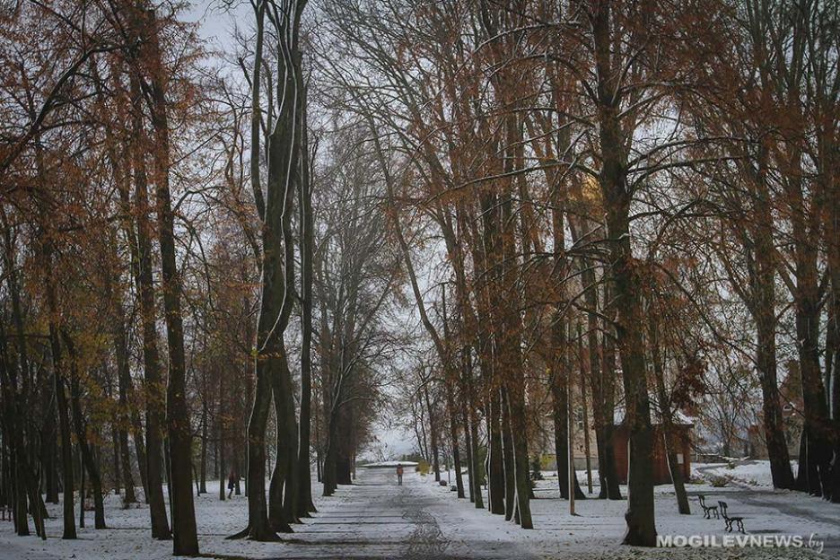 Существенно похолодает в начале наступающей недели в Могилевской области