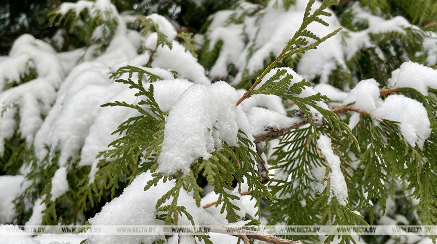 Снегопад и до -7°С будет сегодня в Беларуси