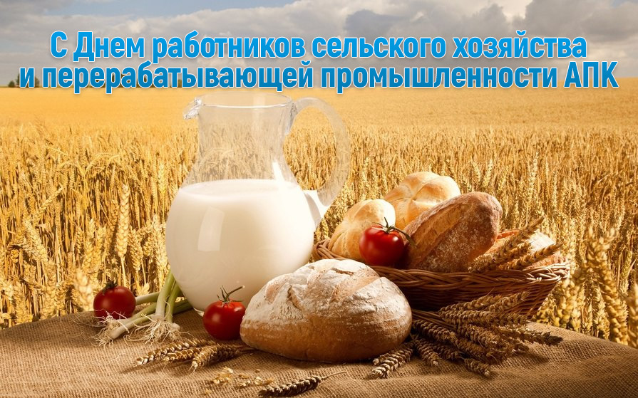 Поздравление от руководства Бобруйского района с Днем работников сельского хозяйства и перерабатывающей промышленности