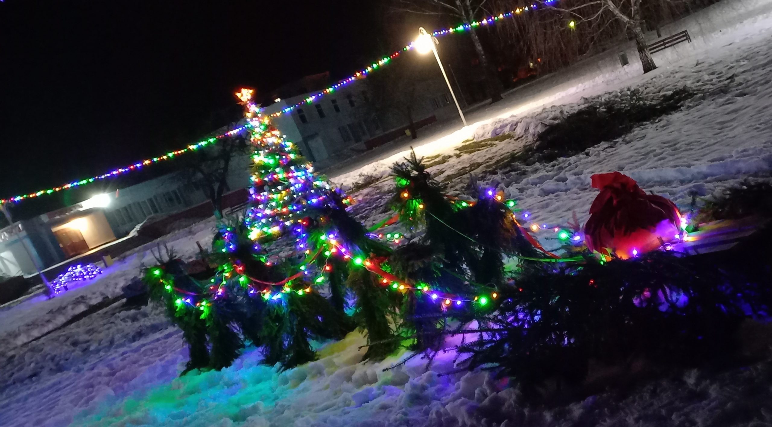 Смотр-конкурс на лучшее праздничное оформление новогодних елок пройдет в Бобруйском районе