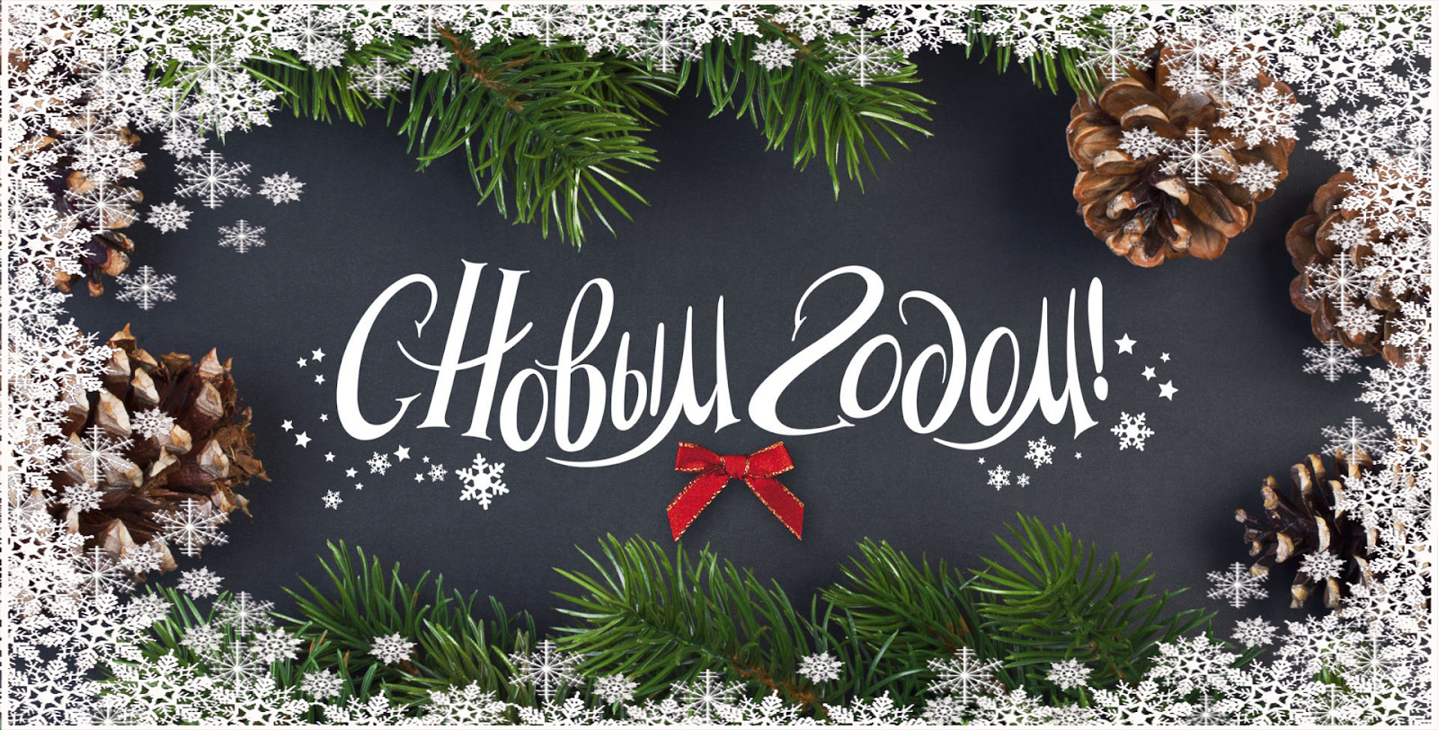 Поздравление С Новым годом от председателя Могилевского областного исполнительного комитета Анатолия Исаченко