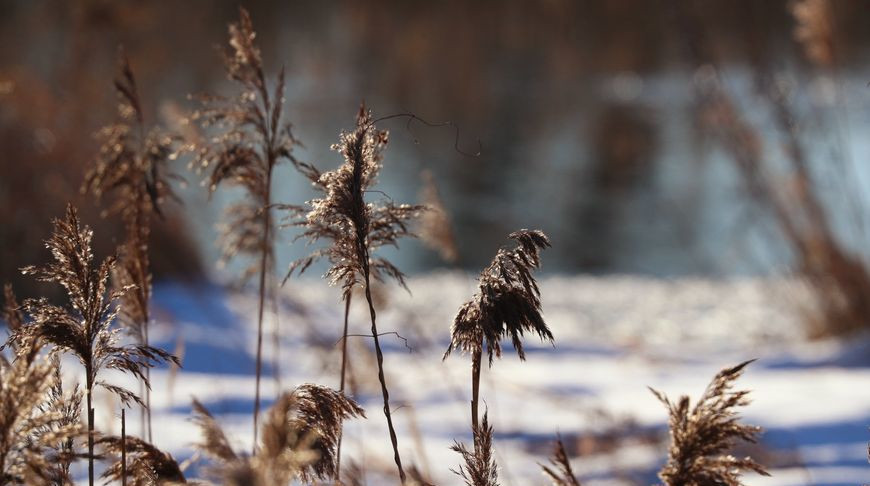 Гололедица и мокрый снег ожидаются сегодня в Беларуси