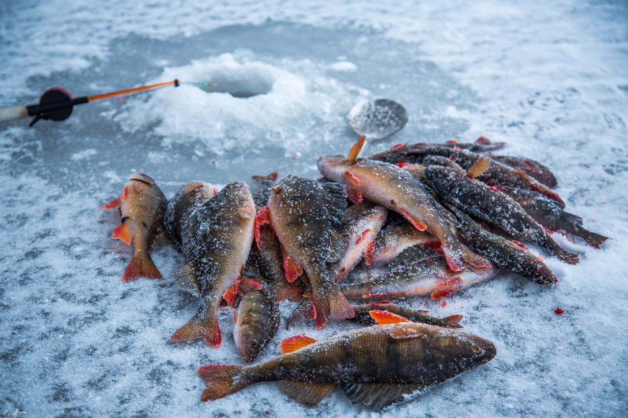 О чем нужно помнить любителям зимней рыбалки