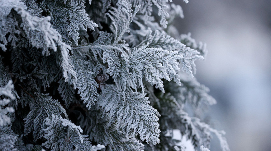 Снег и до +5°С ожидается сегодня в Беларуси