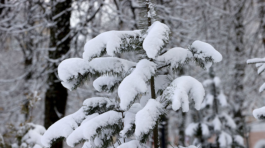 Снег с дождем и гололедицу прогнозируют сегодня в Беларуси