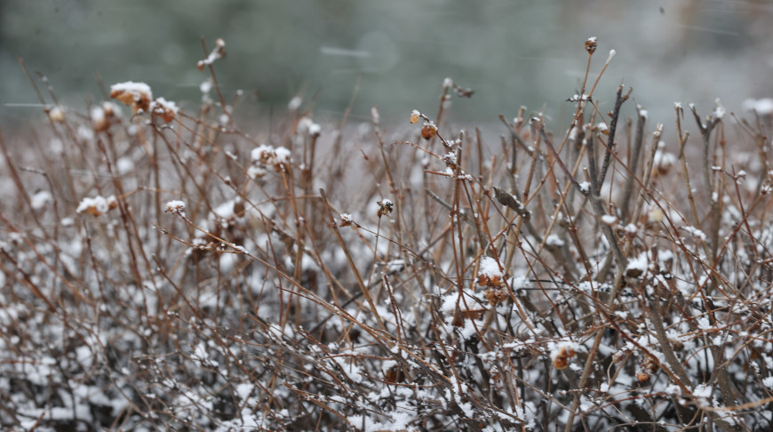 Мокрый снег и гололедицу прогнозируют сегодня в Беларуси