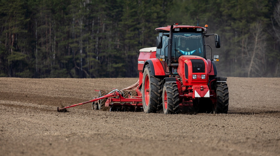 В Беларуси посеяно 4,7 тысячи гектаров зерновых