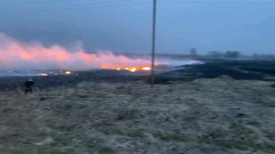 Бобруйские спасатели остановили горение сухой травы вблизи поселка Новая Беларусь