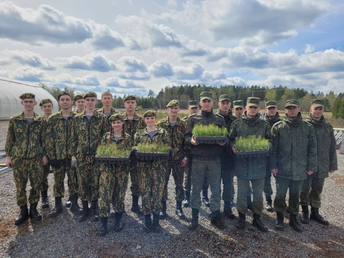 Военнослужащие и юные патриоты высадили деревья на территории Брожского лесничества