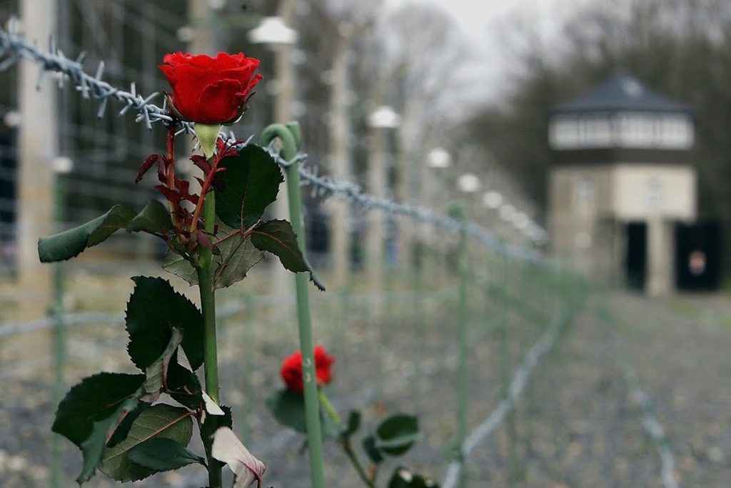 В Беларуси проживает около 8 тысяч бывших узников фашизма: какая поддержка им оказывается