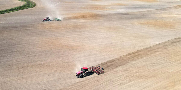В Беларуси завершился сев кукурузы на зерно