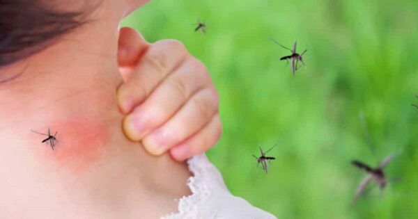 «Гнусный» сезон: врач-энтомолог советует, как спастись от комаров и мошек