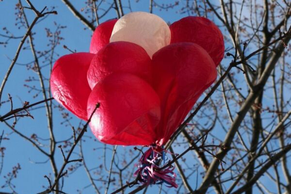 Жестокая к природе «красивая» традиция — запуск воздушных шаров