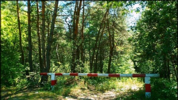 Запреты и ограничения на посещение лесов введены почти во всех регионах Беларуси. Ограничение действует и в Бобруйском районе