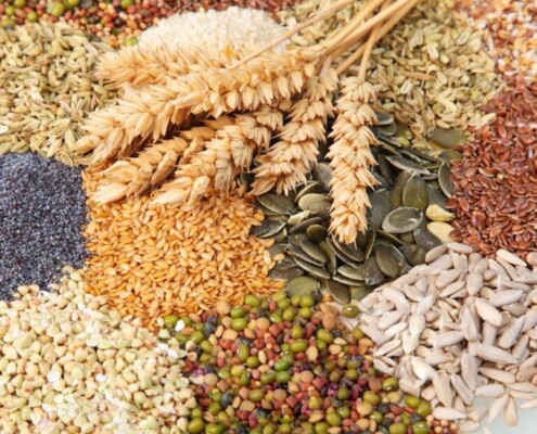 Час дбаць пра насенне ярыны