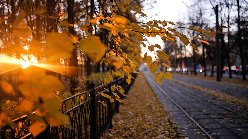 Погода на 10 декабря в Могилевской области: преимущественно без осадков и до +7°С