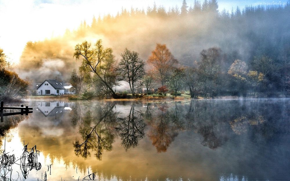 Туман и переменная облачность ожидаются сегодня в Беларуси