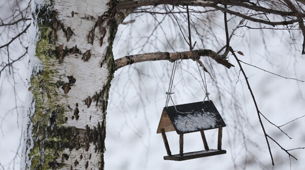 Столбик термометра сегодня покажет плюс?