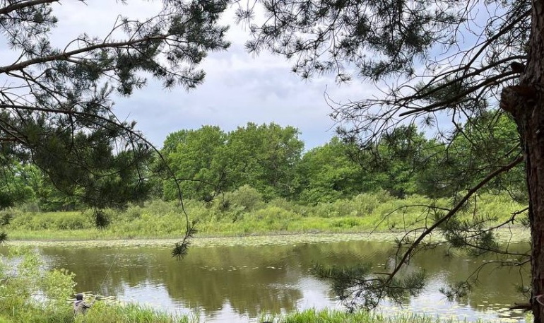 Об определении мест пользования поверхностными водными объектами для рекреации, спорта и туризма и мест, запрещенных для купания