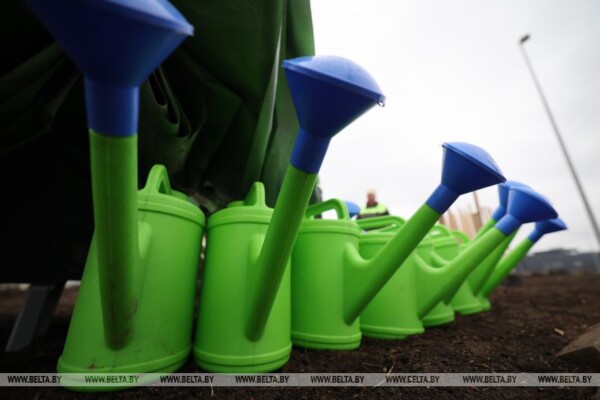 Республиканский субботник проходит в Беларуси