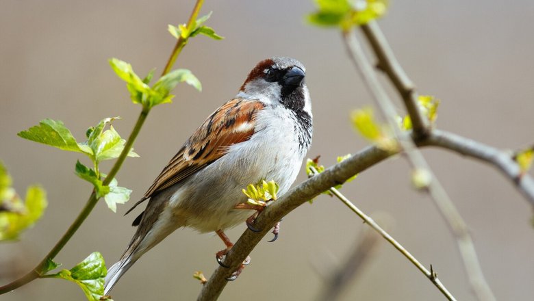 Погода 15 апреля в Могилевской области
