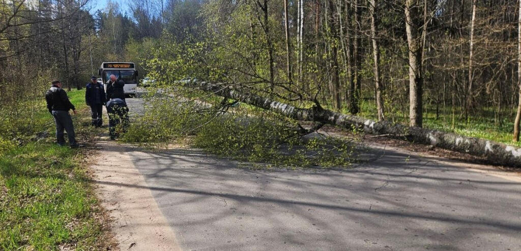 Последствия непогоды в Могилевской области