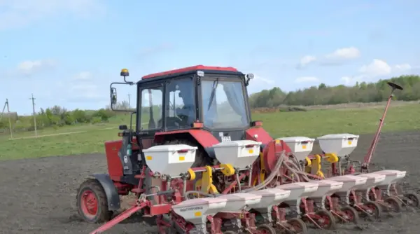 Надыйшоў час сяўбы кукурузы