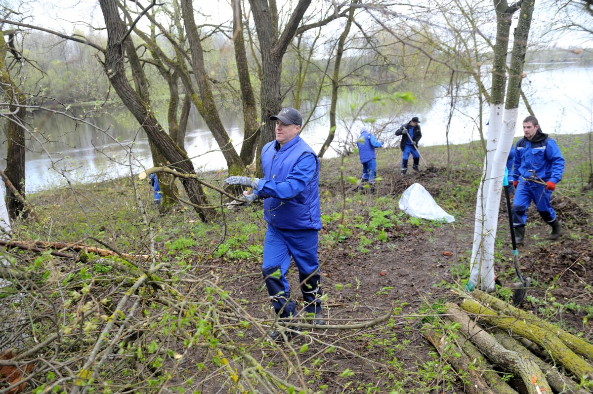 Рассказываем, как наводился порядок в деревне Щатково