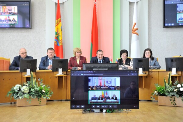 Братская связь сквозь расстояние. Телемост объединил Бобруйский и Мясниковский районы