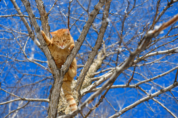 Погода 19 апреля в Могилевской области
