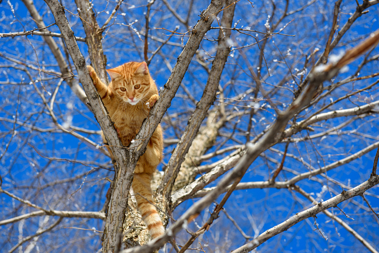 Погода 19 апреля в Могилевской области