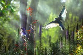 Погода 18 апреля в Могилевской области: ожидаются благоприятные климатические условия для работы на свежем воздухе