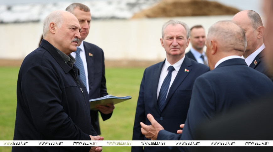 Как без сильных реформ иметь рентабельное животноводство. Лукашенко оценил опыт в Узденском районе