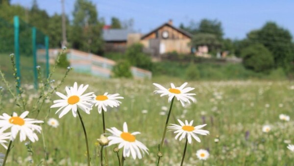Прогноз погоды на 9 июня: тепло и влажно, вероятны грозы
