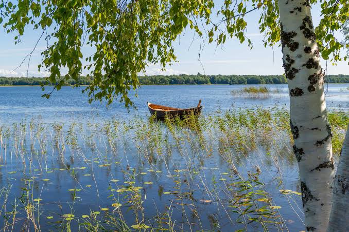 Прогноз погоды на 29 июня: до +36°С, грозы