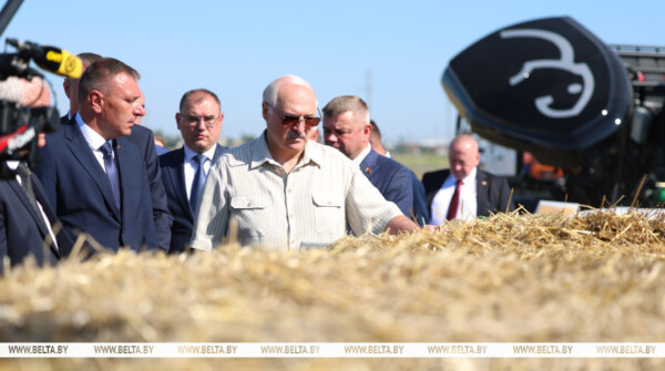 Тест для пресс-подборщика и награды для «Савушкина продукта». Лукашенко посетил Березовский район