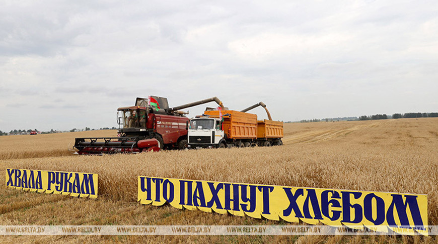 Мининформ открыл прием заявок на творческий конкурс «Хвала рукам, что пахнут хлебом»