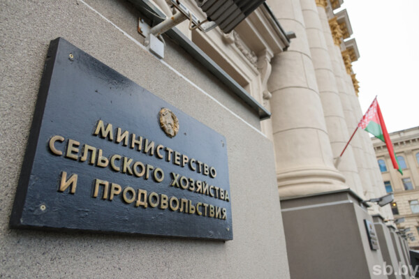 Почти 2 млн га озимых: Минсельхозпрод определил стратегию осенних полевых работ