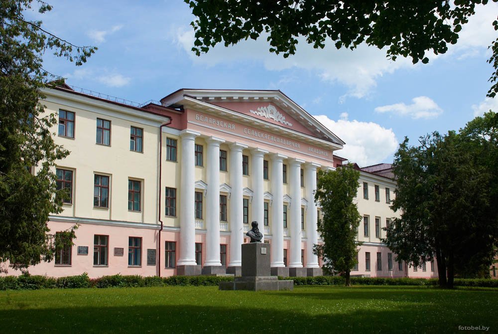 Виталий Великанов. Теплица пятого поколения и высокий конкурс. Почему БГСХА остается лидером среди аграрных вузов страны
