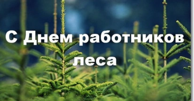 Руководство Бобруйского района поздравляет работников леса с профессиональным праздником